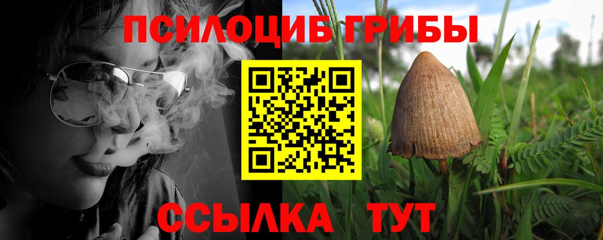 Галлюциногенные грибы Magic Shrooms  Вход с VPN  Орск 